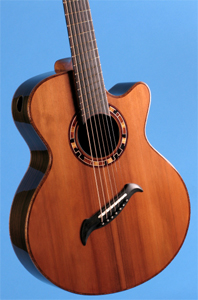 7 String Guitar with Redwood Soundboard by Edwinson Lutherie  edwinsonguitar@yahoo.com USA 