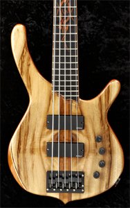 Myrtlewood 5 String Bass by Paul Gansee - USA   enggransee@aol.com