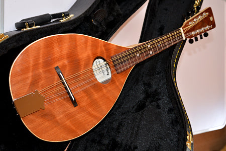 Mandolin Gallery