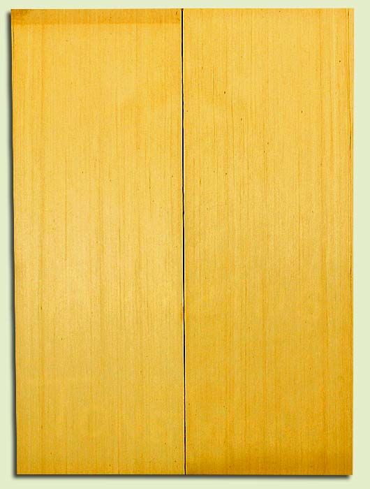 Alaska Yellow Cedar, Tenor or Baritone Ukulele Soundboard, Med. to Fine Grain