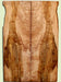 Western Big Leaf Maple, Solid Body Guitar Drop Top Set, Med. to Fine Grain