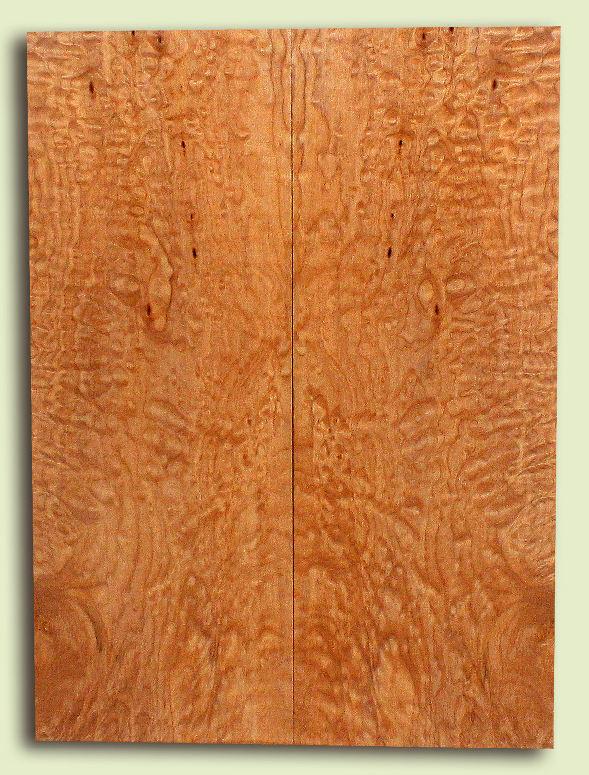 Quilt Soft Maple body top材 45980_1200x1579.jpg?v=1735672993