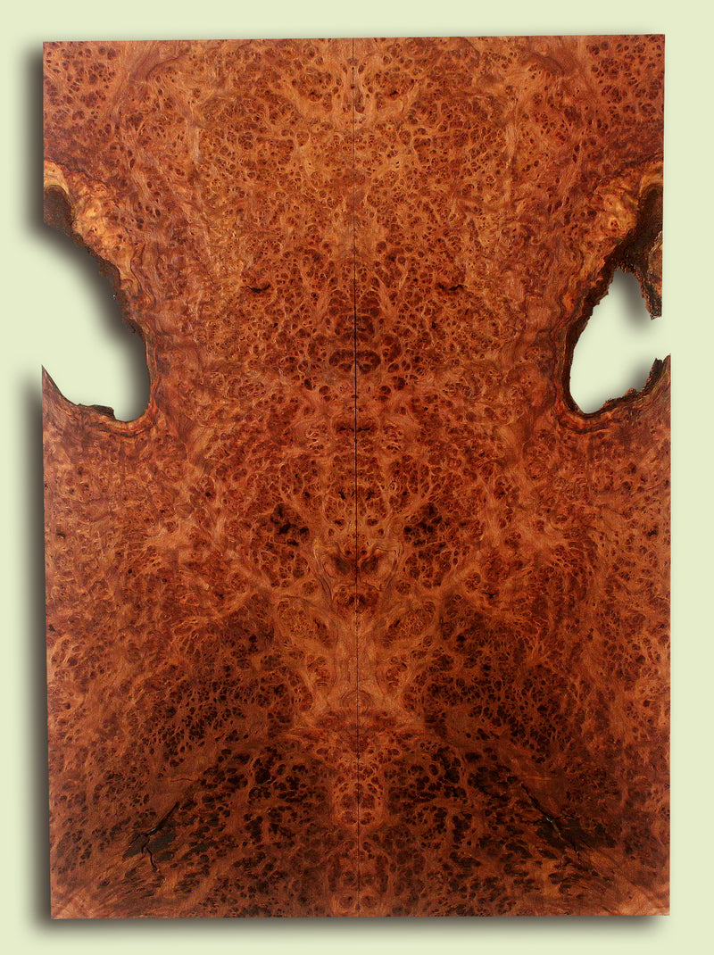 Curly Redwood Solidbody Guitar or Bass Top, Burl, Figure 
