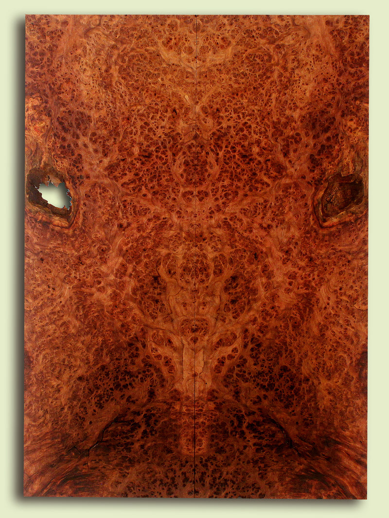 Curly Redwood Solidbody Guitar or Bass Top, Burl, Figure 