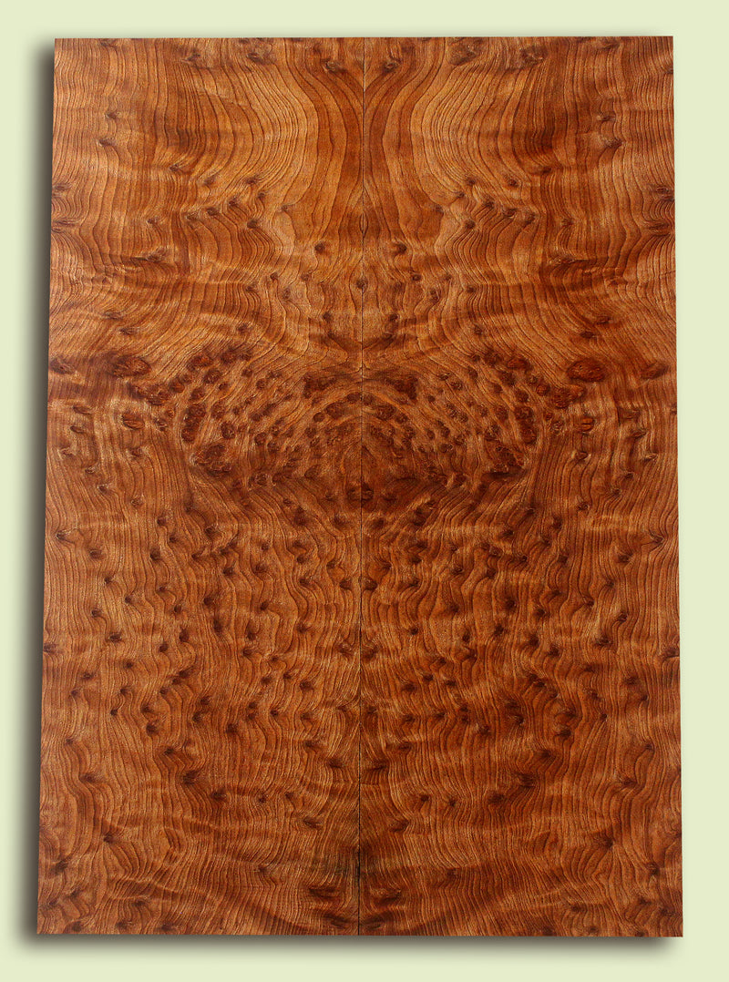 Curly Redwood Solidbody Guitar or Bass Top, Burl, Figure 