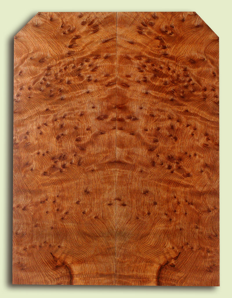 Curly Redwood Solidbody Guitar or Bass Top, Burl, Figure 