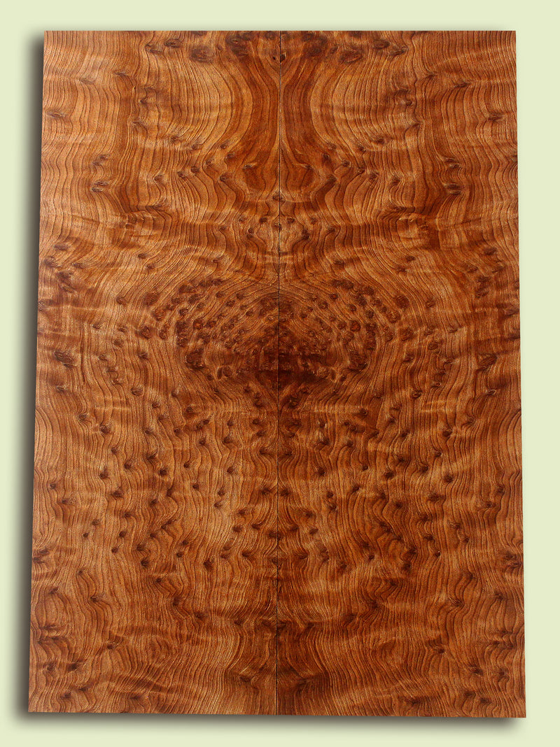Curly Redwood Solidbody Guitar or Bass Top, Burl, Figure 