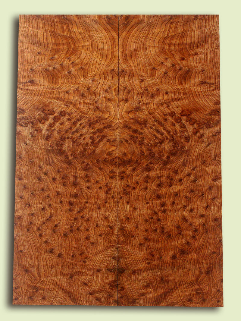 Curly Redwood Solidbody Guitar or Bass Top, Burl, Figure 