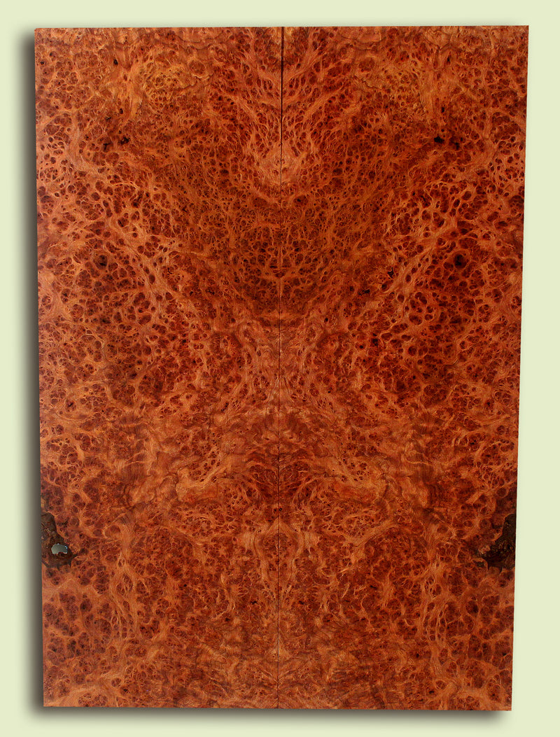 Curly Redwood Solidbody Guitar or Bass Top, Burl, Figure 