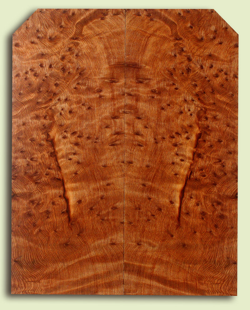 Curly Redwood Solidbody Guitar Top, Burl, Figure 