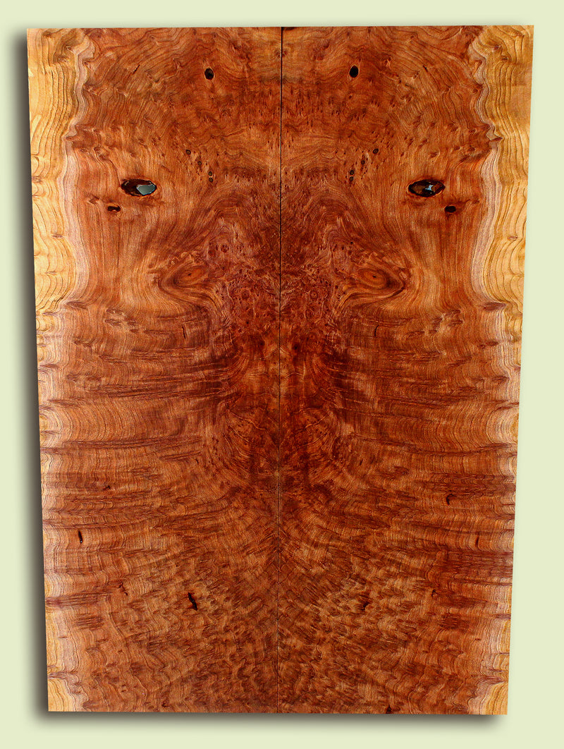 Curly Redwood Solidbody Guitar or Bass Top, Burl, Figure 