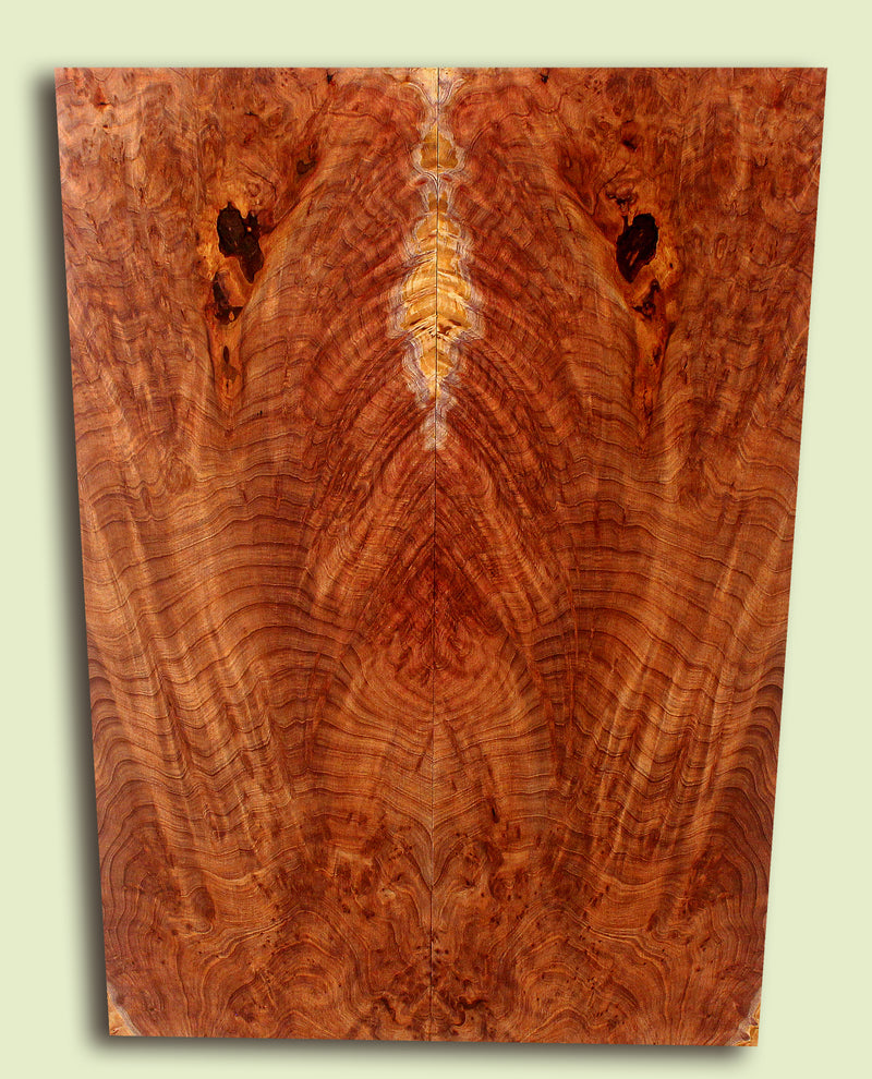 Curly Redwood Solidbody Guitar or Bass Top, Burl, Figure 