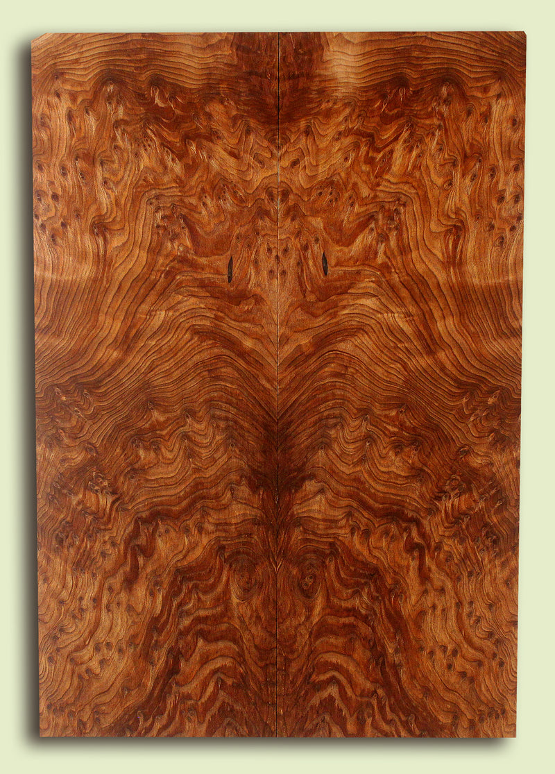 Curly Redwood Solidbody Guitar or Bass Top, Burl, Figure 