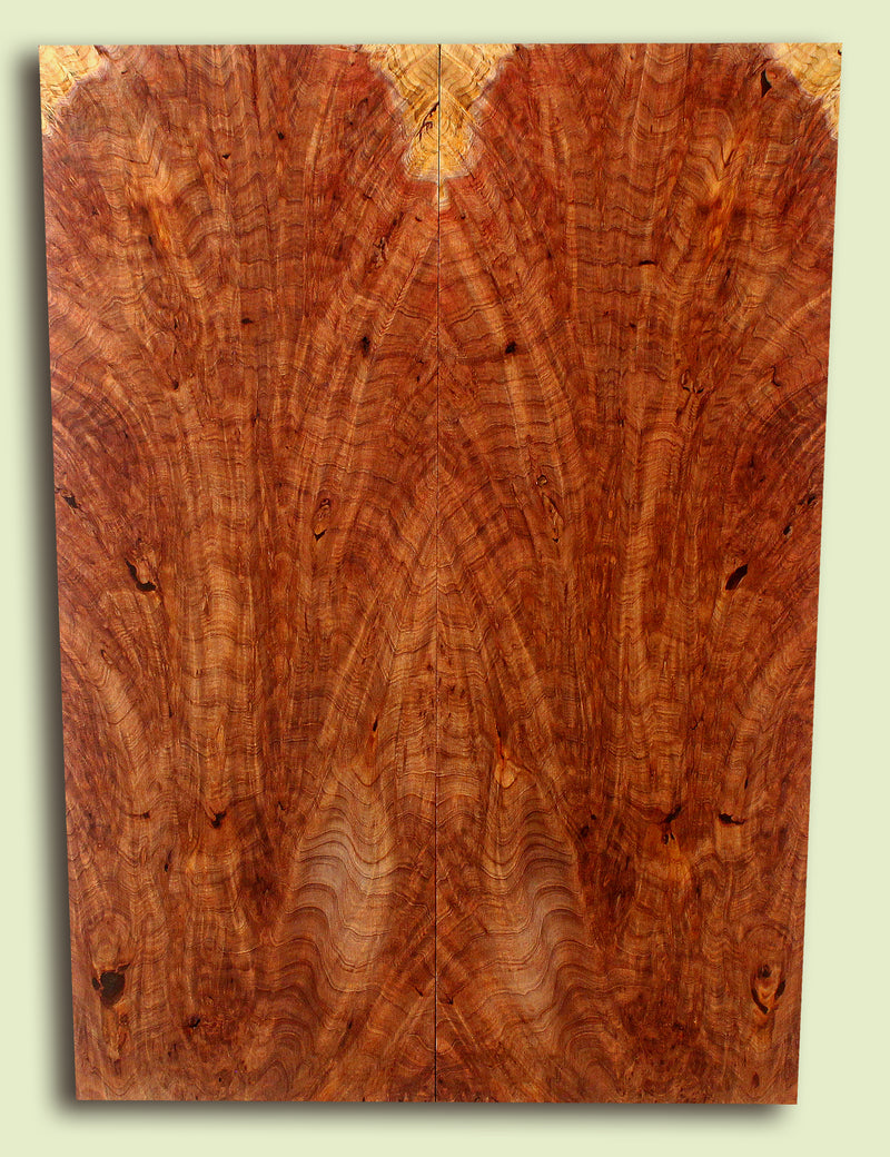 Curly Redwood Solidbody Guitar or Bass Top, Burl, Figure 