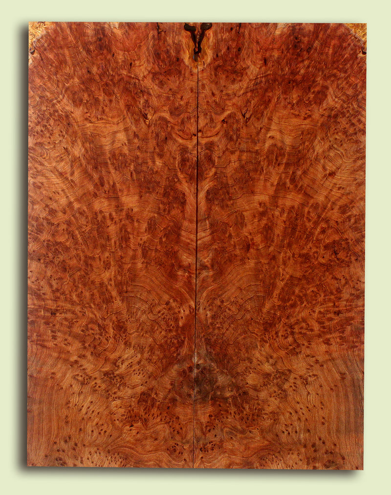 Curly Redwood Solidbody Guitar Top, Burl, Figure 