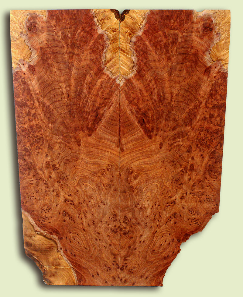 Curly Redwood Solidbody Guitar or Bass Top, Burl, Figure 