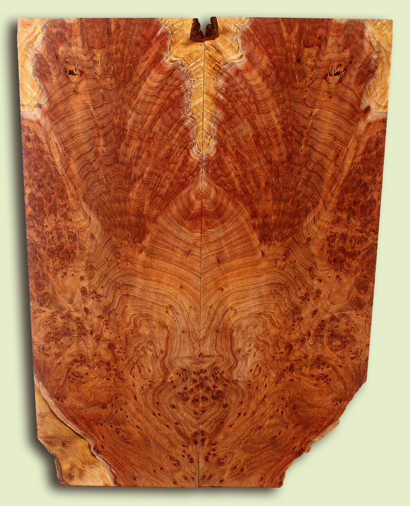 Curly Redwood Solidbody Guitar or Bass Top, Burl, Figure 