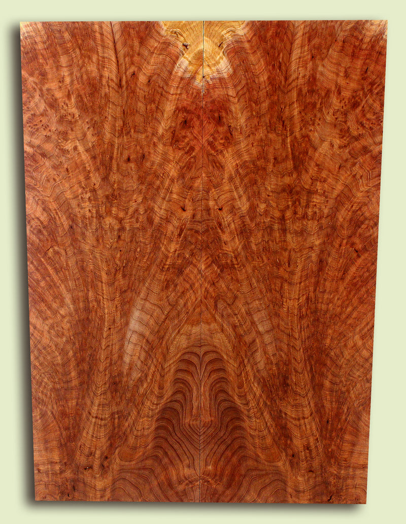 Curly Redwood Solidbody Guitar or Bass Top, Burl, Figure 
