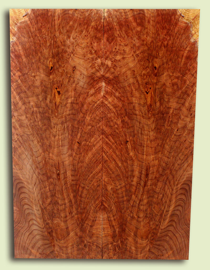 Curly Redwood Solidbody Guitar or Bass Top, Burl, Figure 