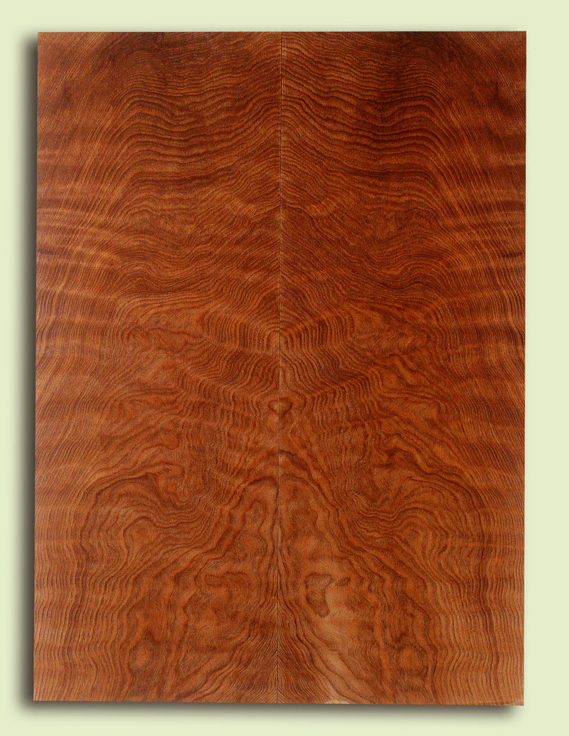 Curly Redwood Solidbody Guitar or Bass Top, Burl, Figure 