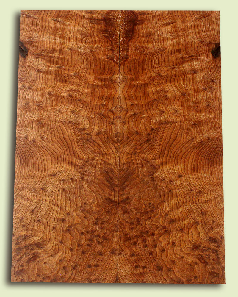 Curly Redwood Solidbody Guitar Top, Burl, Figure 
