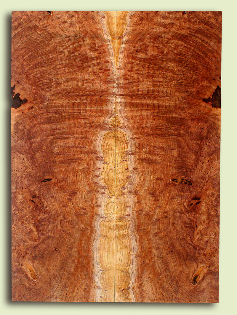 Curly Redwood Solidbody Guitar or Bass Top, Burl, Figure 