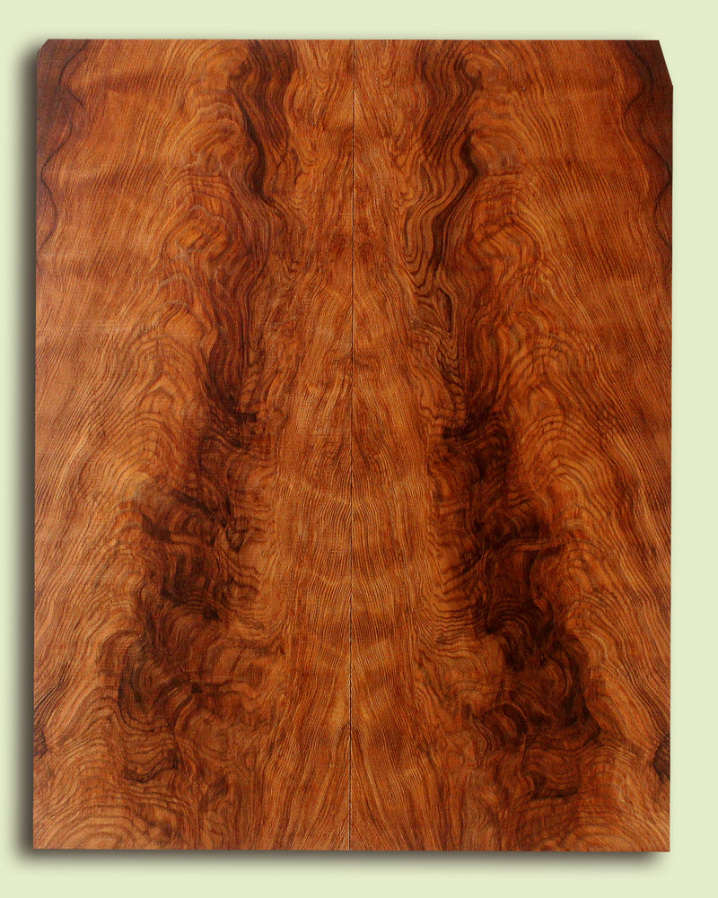 Curly Redwood Solidbody Guitar Top, Burl, Figure 