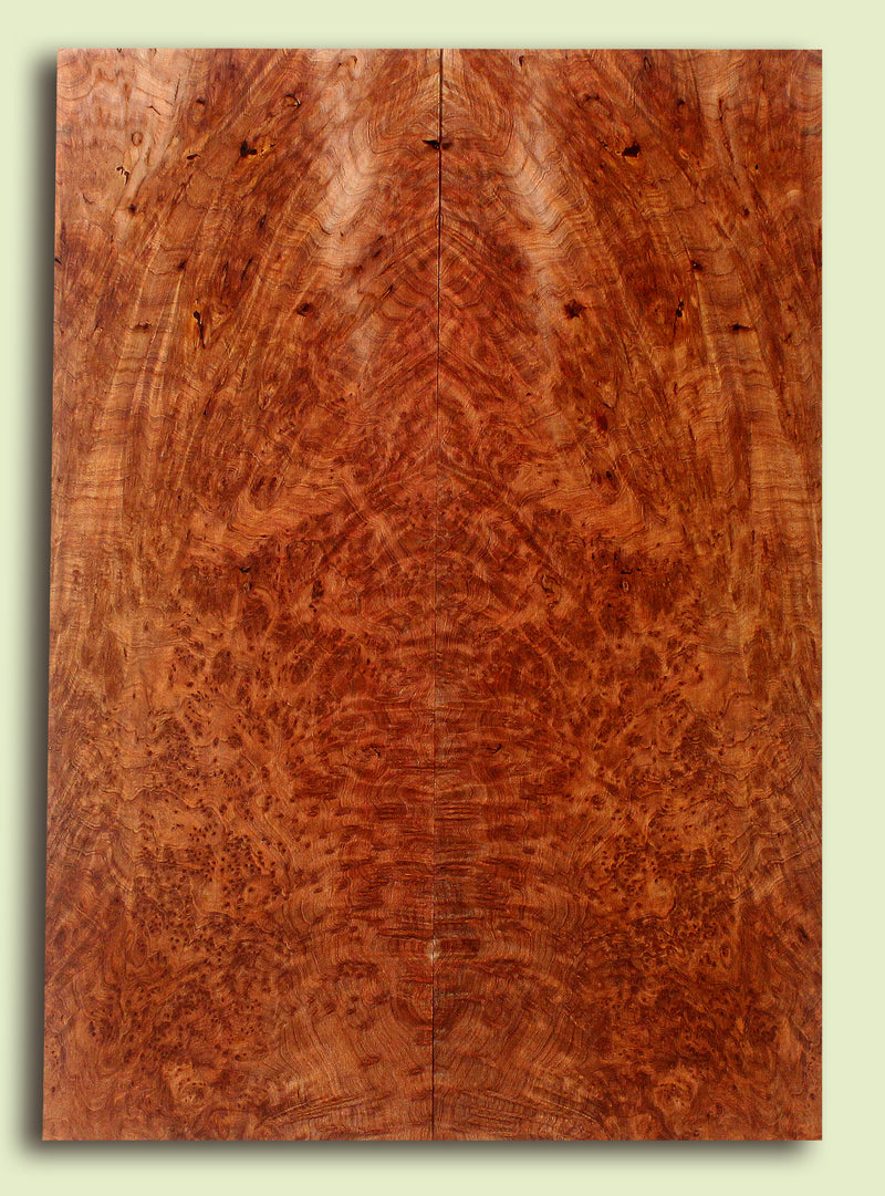 Curly Redwood Solidbody Guitar or Bass Top, Burl, Figure 