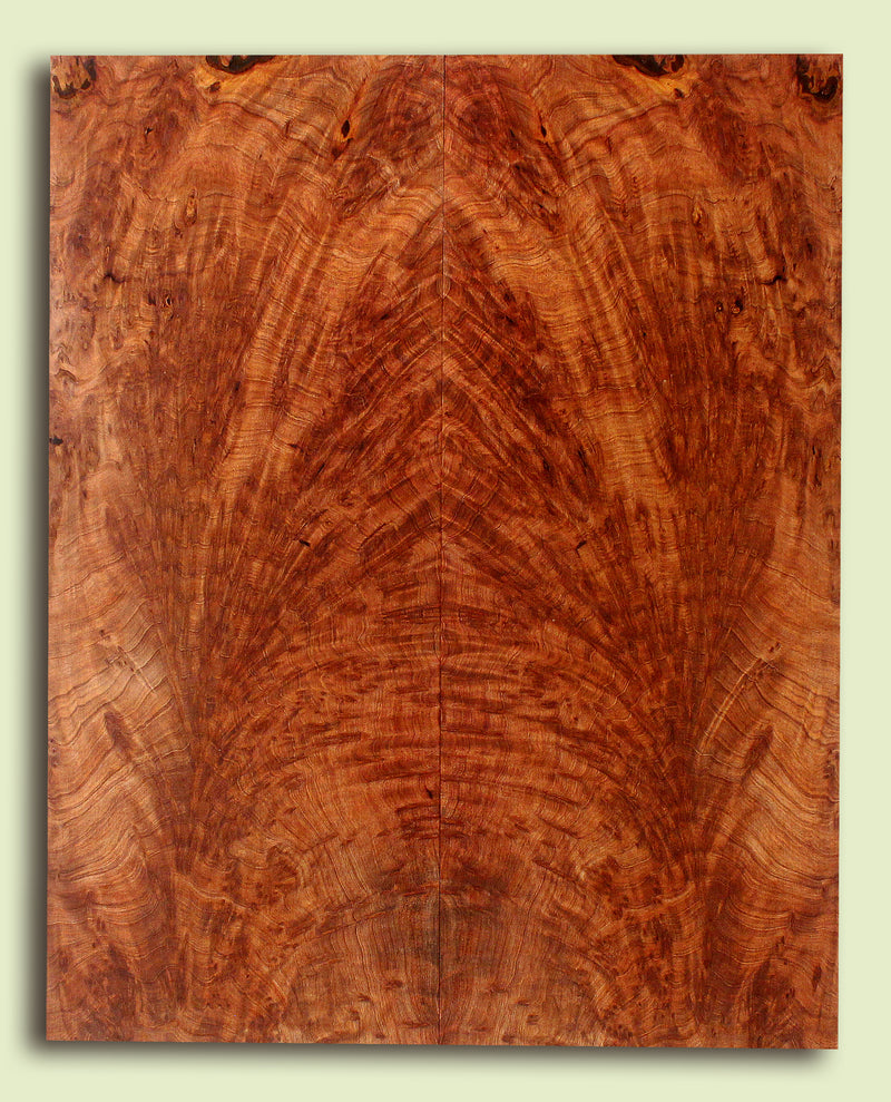 Curly Redwood Solidbody Guitar Top, Burl, Figure 