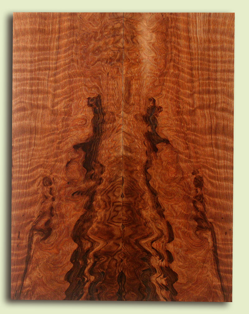 Curly Redwood Solidbody Guitar Top, Burl, Figure 