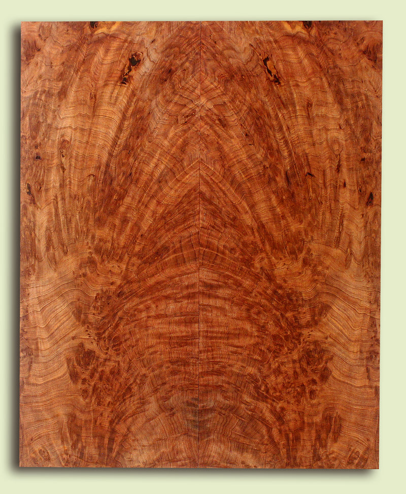 Curly Redwood Solidbody Guitar Top, Burl, Figure 