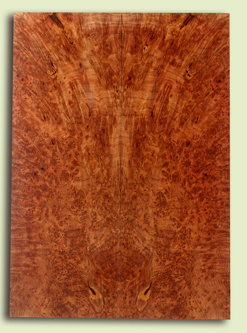 Curly Redwood Solidbody Guitar or Bass Top, Burl, Figure 