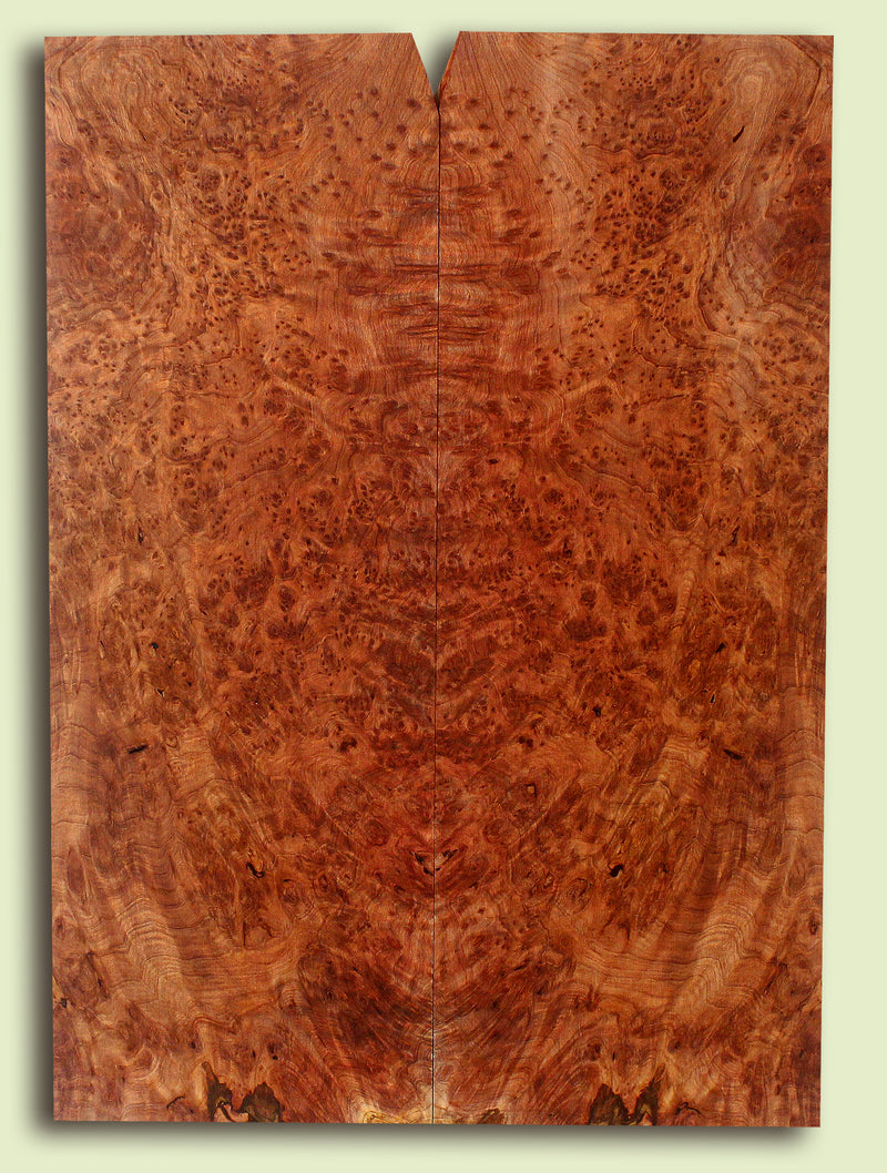 Curly Redwood Solidbody Guitar or Bass Top, Burl, Figure 