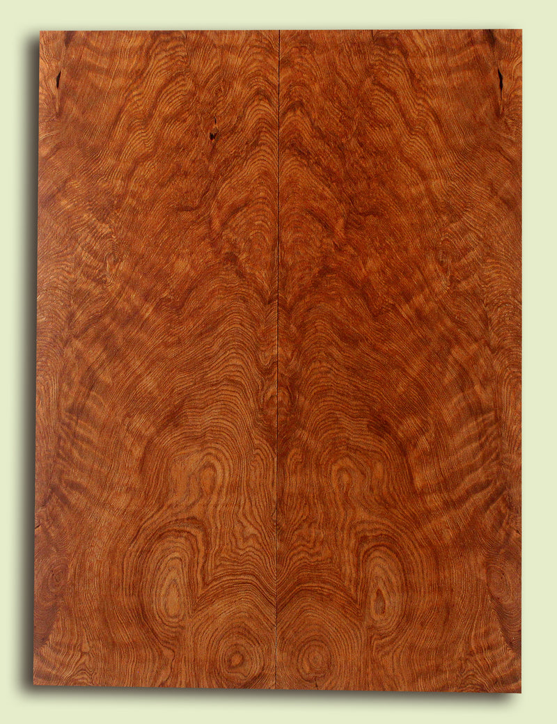 Curly Redwood Solidbody Guitar or Bass Top, Burl, Figure 
