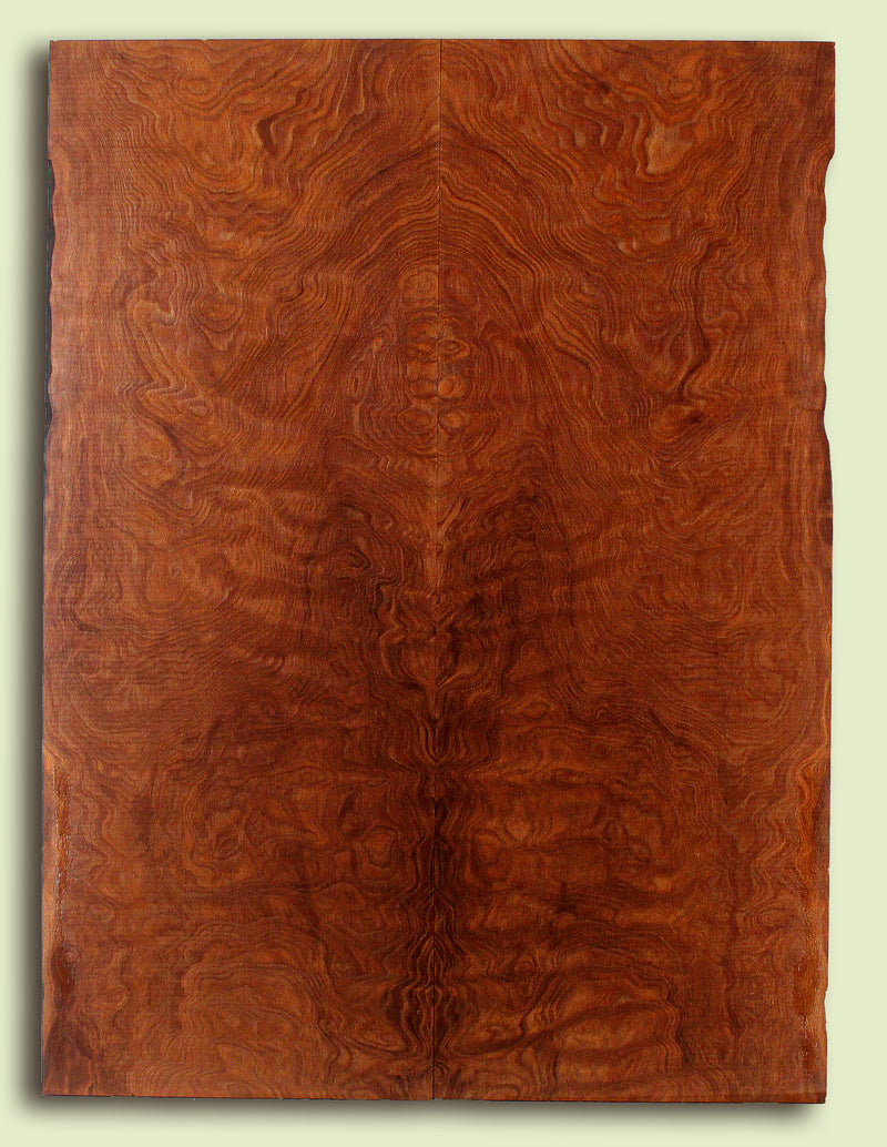 Curly Redwood Solidbody Guitar or Bass Top, Burl, Figure 