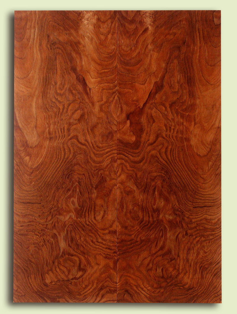 Curly Redwood Solidbody Guitar or Bass Top, Burl, Figure 