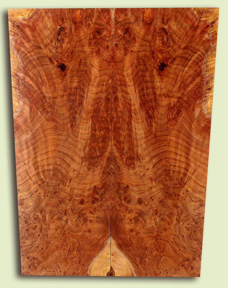 Curly Redwood Solidbody Guitar or Bass Top, Burl, Figure 