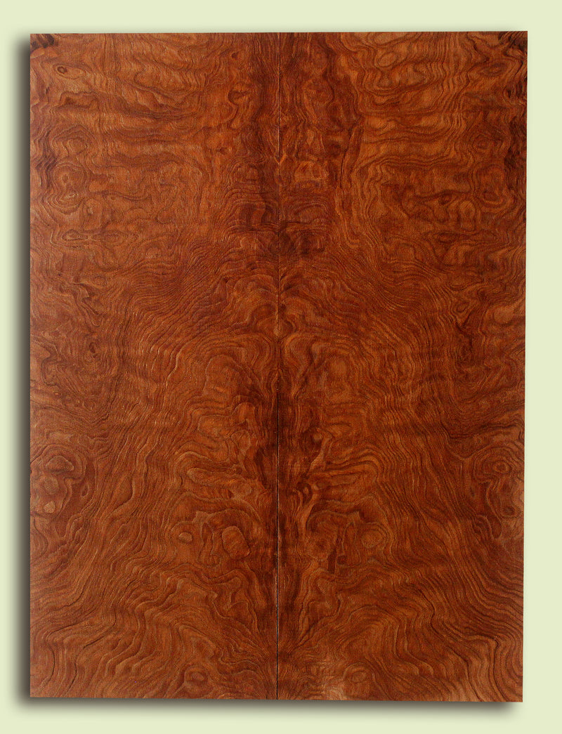 Curly Redwood Solidbody Guitar or Bass Top, Burl, Figure 