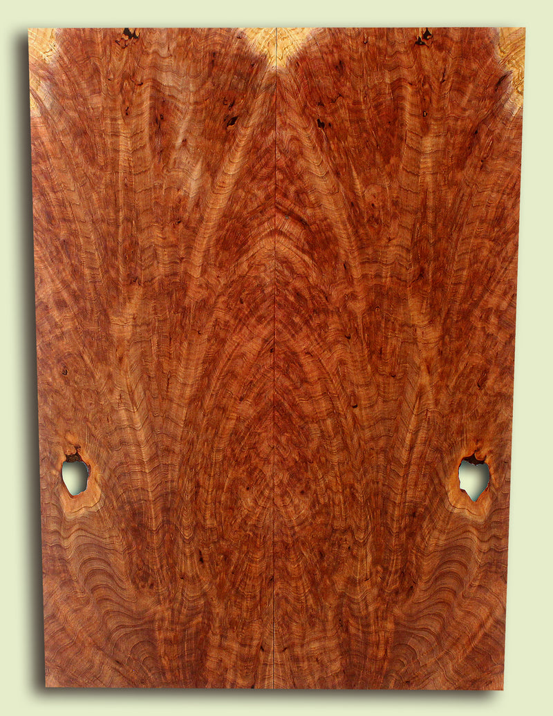 Curly Redwood Solidbody Guitar or Bass Top, Burl, Figure 