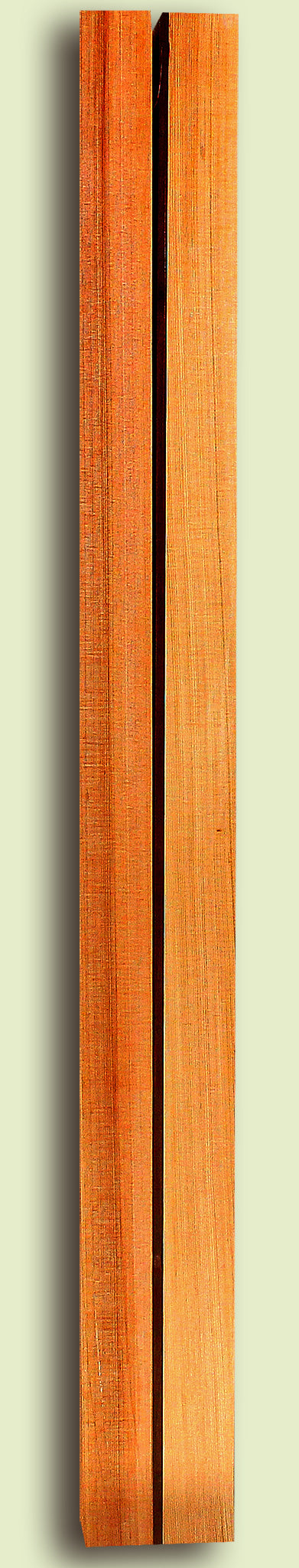 Guitar Neck Blanks