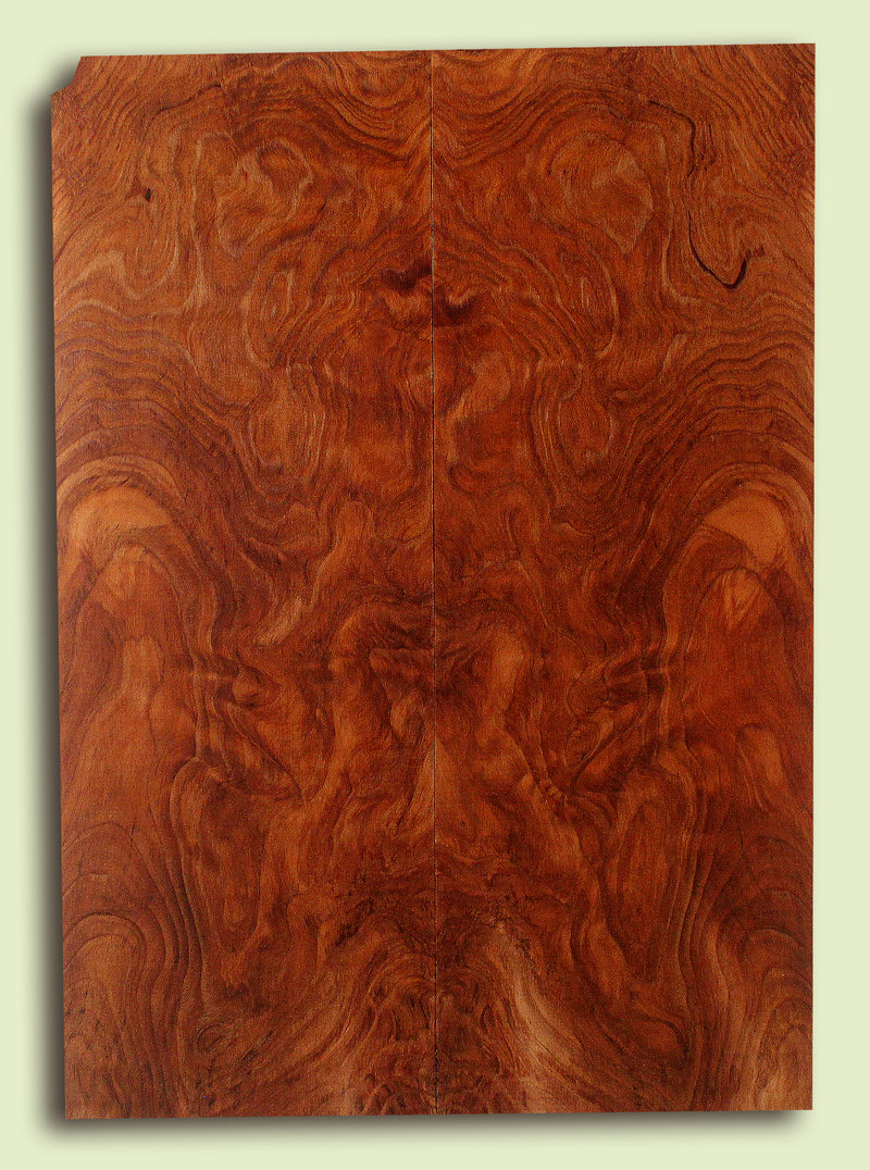 Curly Redwood Solidbody Guitar or Bass Top, Burl, Figure 