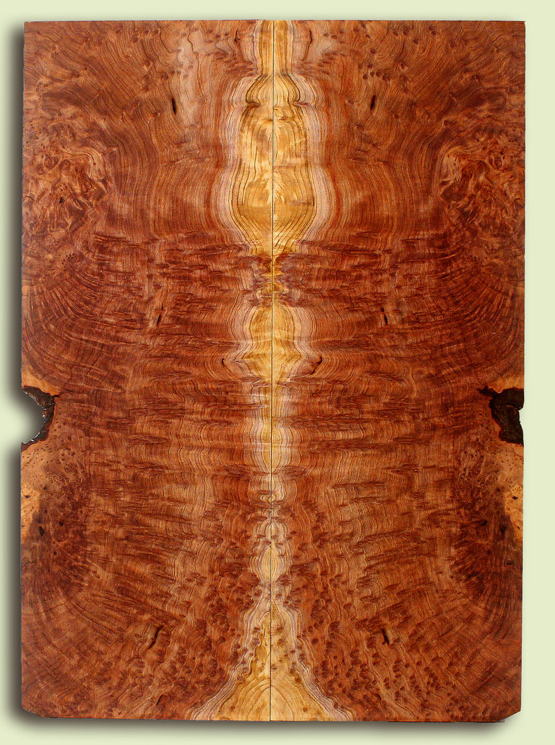 Curly Redwood Solidbody Guitar or Bass Top, Burl, Figure 