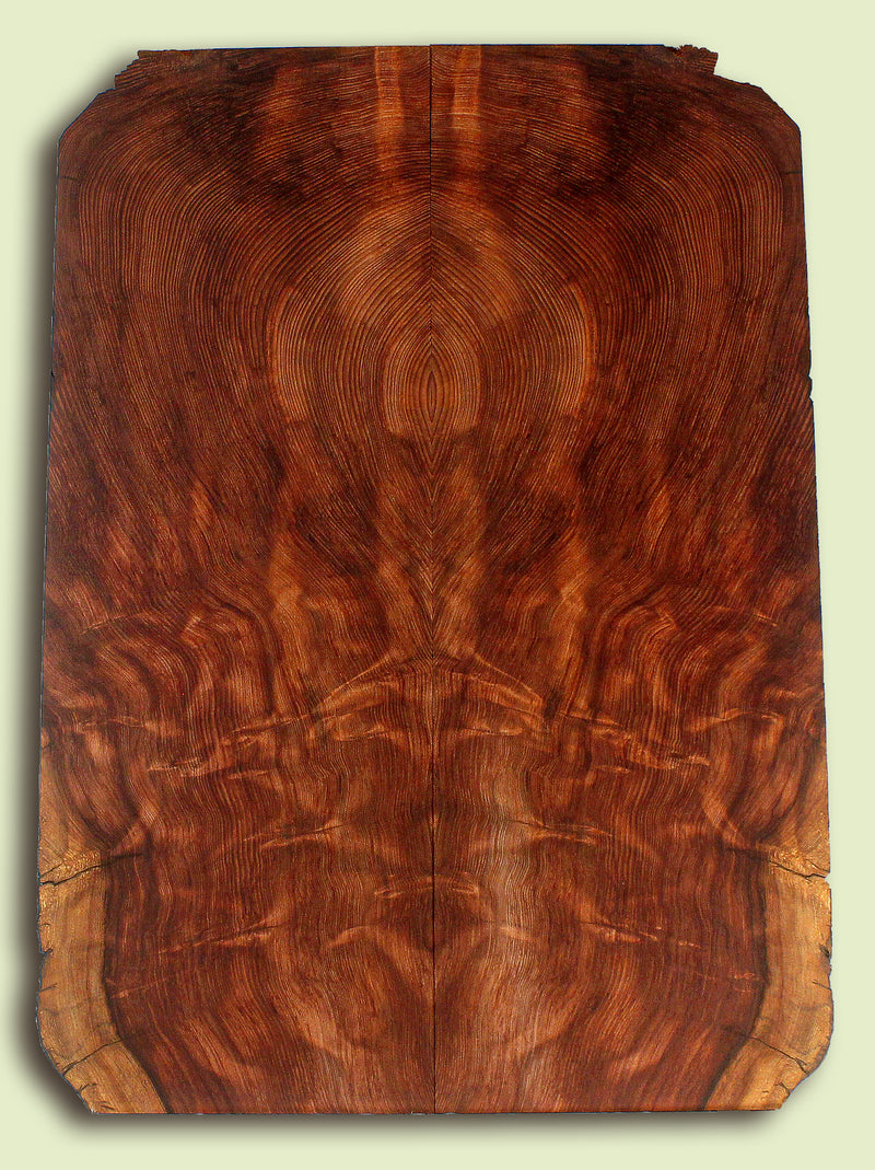 Curly Redwood Solid Body Guitar Drop Top Set, Salvaged Old Growth 