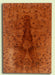 Curly Redwood Baritone Ukulele Soundboard, Birdseye Figure