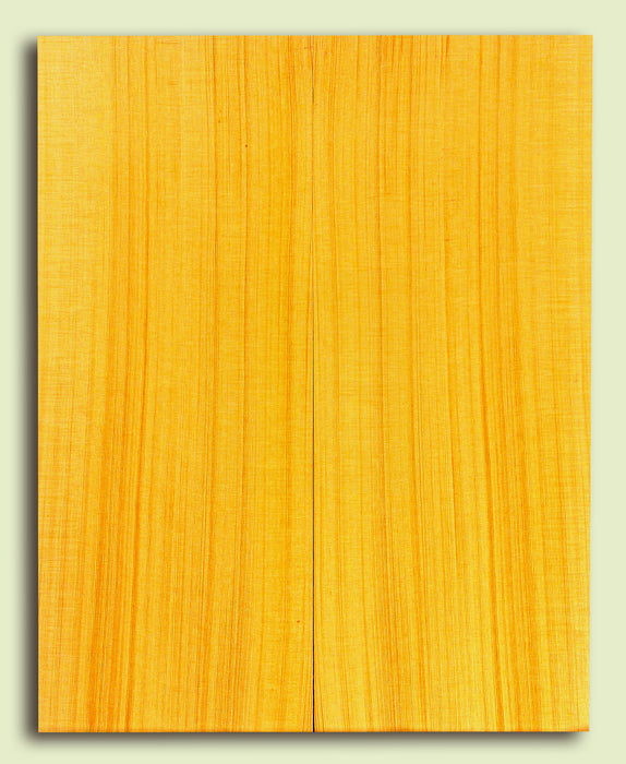 Alaska Yellow Cedar Tenor Ukulele Soundboard, Very Tight Grain   
