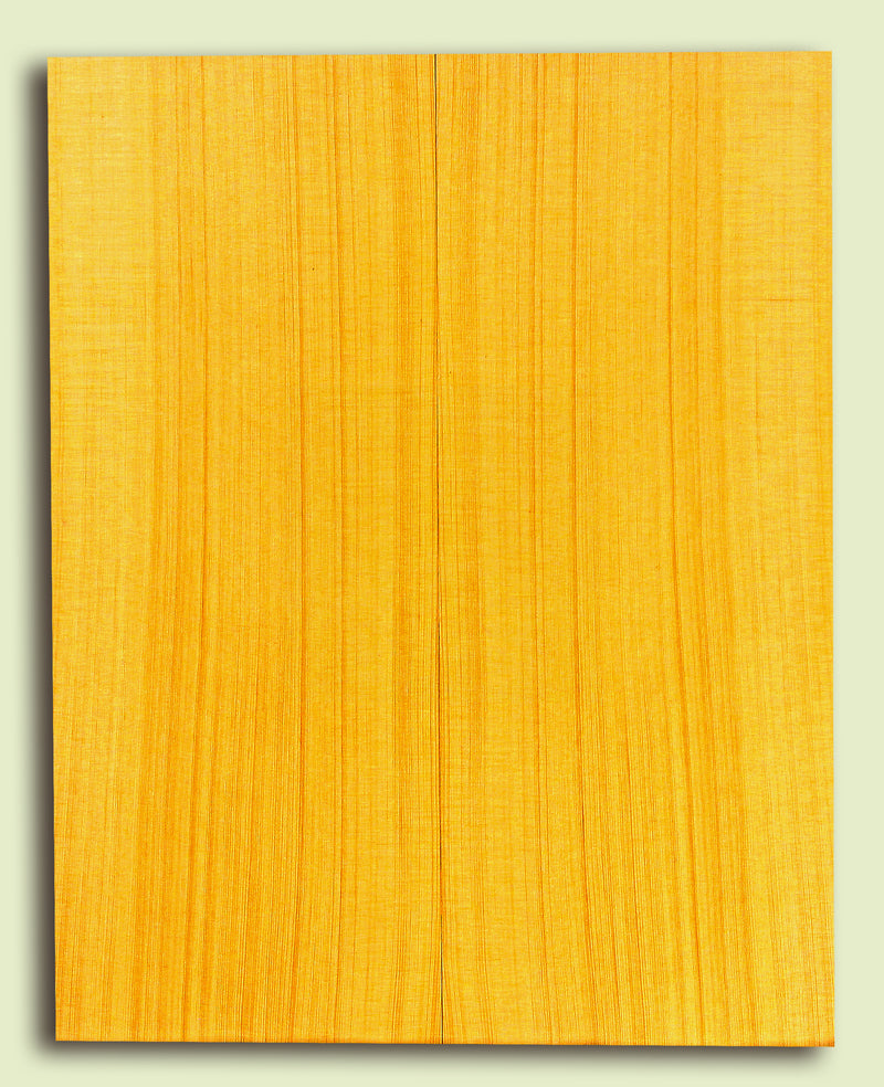 Alaska Yellow Cedar Tenor Ukulele Soundboard, Very Tight Grain   