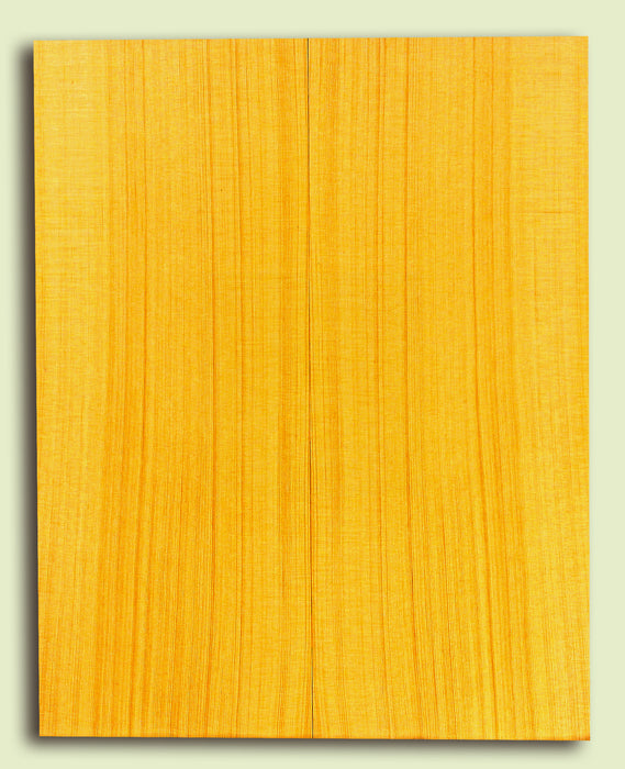 Alaska Yellow Cedar Tenor Ukulele Soundboard, Very Tight Grain   