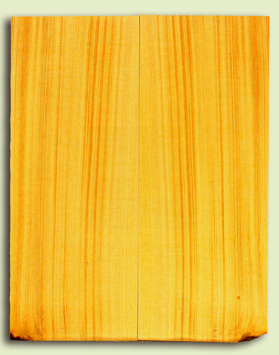 Alaska Yellow Cedar Tenor Ukulele Soundboard, Very Tight Grain   