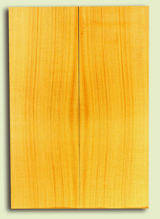 Alaska Yellow Cedar Baritone Ukulele Soundboard, Tight Grain Top Tonewood  