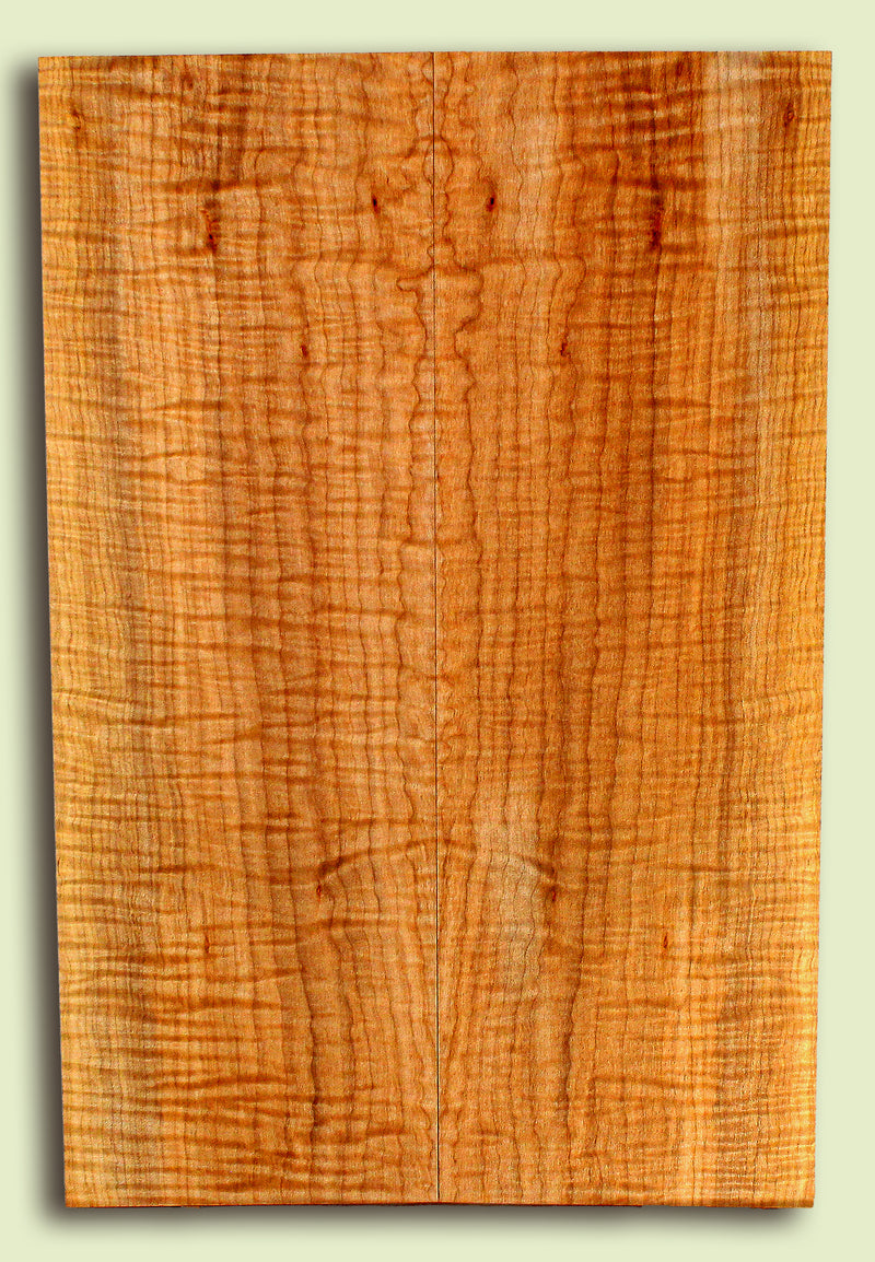 Maple Guitar or Bass Drop Top,  Figured.  2 panels, each 0.29" x 7.75" x 23.75" S2S